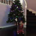阿美幫忙布置的聖誕樹