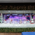 聖誕櫥窗和假日火車(模型)大展 - 1
