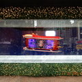 聖誕櫥窗和假日火車(模型)大展 - 6