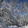 「坤音」風雪來襲，又見銀妝世界 - 17