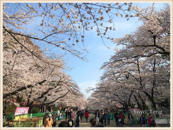 東京人氣最旺賞櫻地 上野公園 Yoyo Teng時尚編輯心生活 Udn部落格