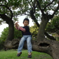 Yoyo第一次爬樹~