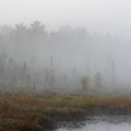 照片攝於加拿大安大略省的省立公園-Algonguin Park