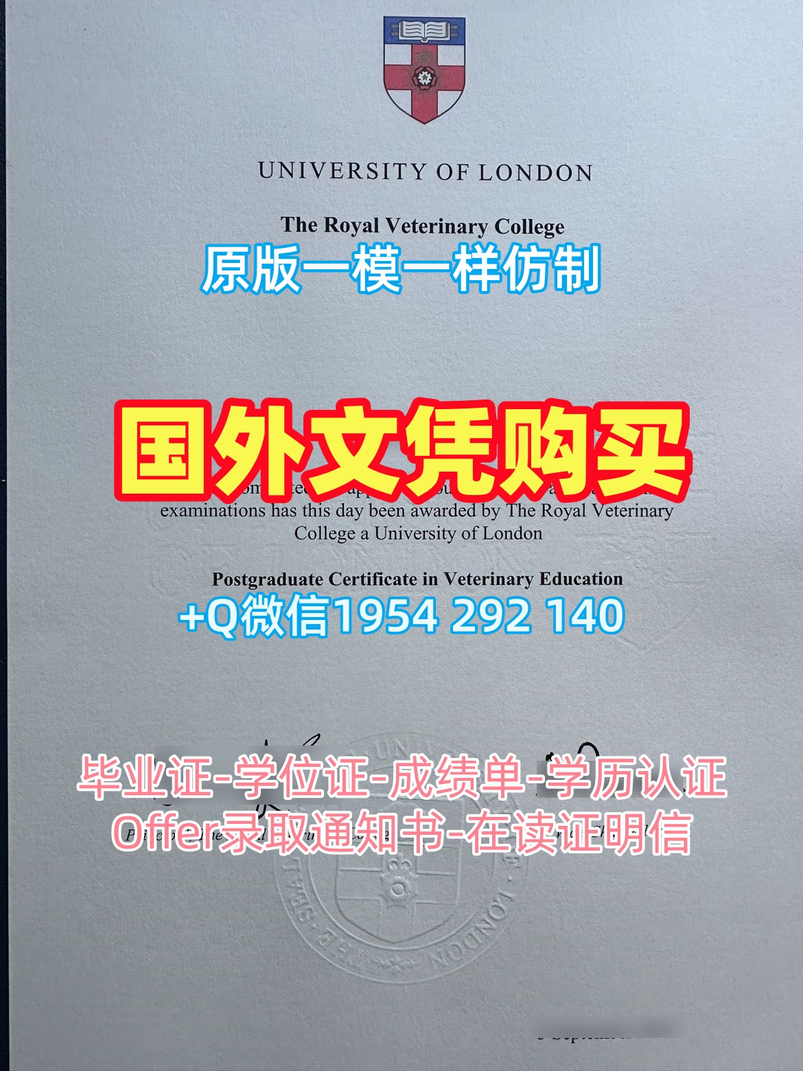 网络图片