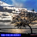 高雄市林園區東汕里最南端靠海的一棵樹