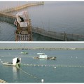 高屏溪口河海交會，孕育豐富的漁產。主要的冬季鰻魚苗捕撈，養殖漁業等。