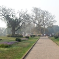 印度八大聖地-祇樹給孤獨園(祇園精舍)