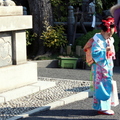 「神田神社」的參拝少女