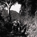 台北美國領事館家族遊烏來(1939年)