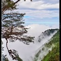 南庄雲水度假森林