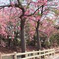 北斗河濱花園