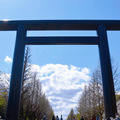 靖國神社櫻花