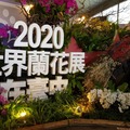 2019 臺中國際花毯節