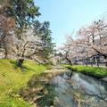 青森弘前櫻花祭