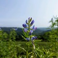 寶山水庫.湖光山色