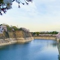 大阪城公園內 花開的繽紛燦爛