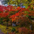 日本東北之旅~