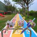 卡里善之樹彰化和美的一個純樸鄉村 繽紛彩虹傘巷道．彩繪牆