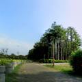 嘉義市香湖公園