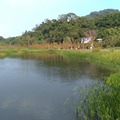 大溪月眉人工濕地生態公園