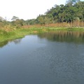 大溪月眉人工濕地生態公園
