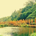 大溪月眉人工濕地生態公園