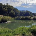 大溪月眉人工濕地生態公園