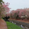 北斗河濱花園