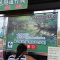 *綠色時光隧道-台江公園