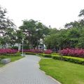 板橋12生俏公園