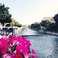 台中世界花卉博覽會 豐原葫蘆墩公園