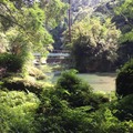 美麗的杉林溪