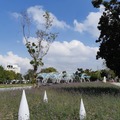 台中世界花卉博覽會 豐原葫蘆墩公園