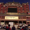 紀錄青康藏高原藏愜意生活