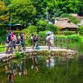 由布院 金鱗湖