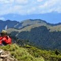 合歡東峰   高山杜鵑