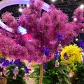 台中世界花卉博覽會《花舞館》 