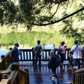 夢幻湖－七星公園－冷水坑。賞芒