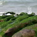 老梅海邊綠石槽
