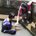 2013|台北|千戶傳奇