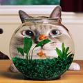 貓咪魚缸
