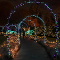 溫哥華植物園燈節