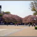 東京-上野(恩賜)公園