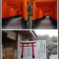 京都之旅 - 伏見稻荷大社