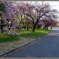 東京-皇居東御苑