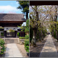 鎌倉-極樂寺