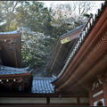 鎌倉-長谷寺