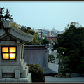 鎌倉-鶴岡八幡宮