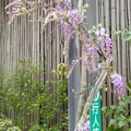 台北花卉村