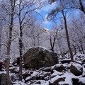 三月登頂佈道石（Pulpit Rock)